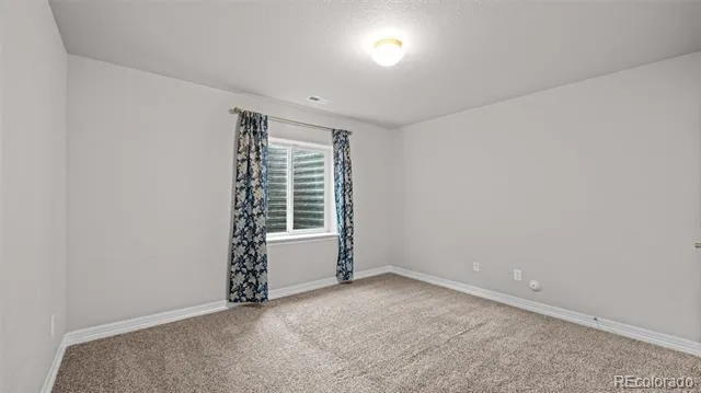 9745 Porch Swing Lane Peyton, CO 80831