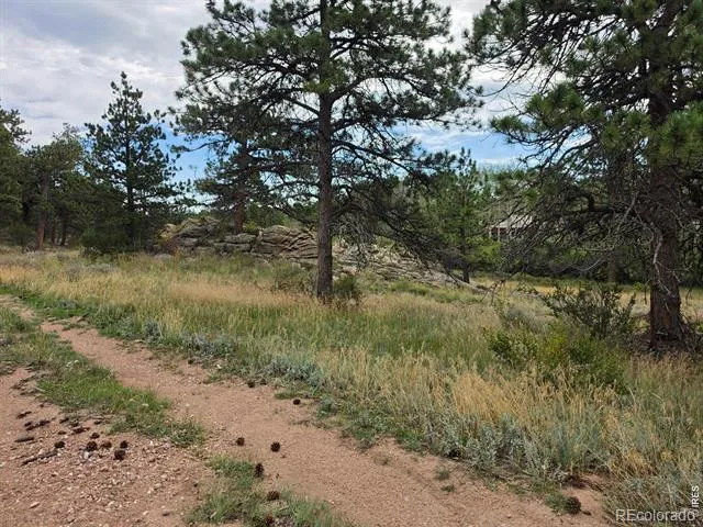 0 Lone Pine Court Red Feather Lakes, CO 80545