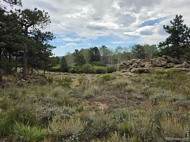 0 Lone Pine Court Red Feather Lakes, CO 80545