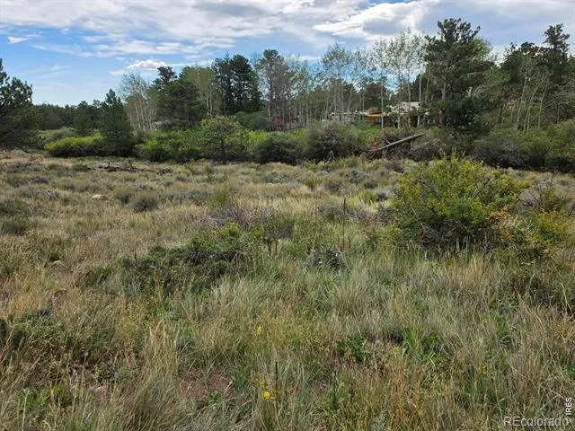 0 Lone Pine Court Red Feather Lakes, CO 80545