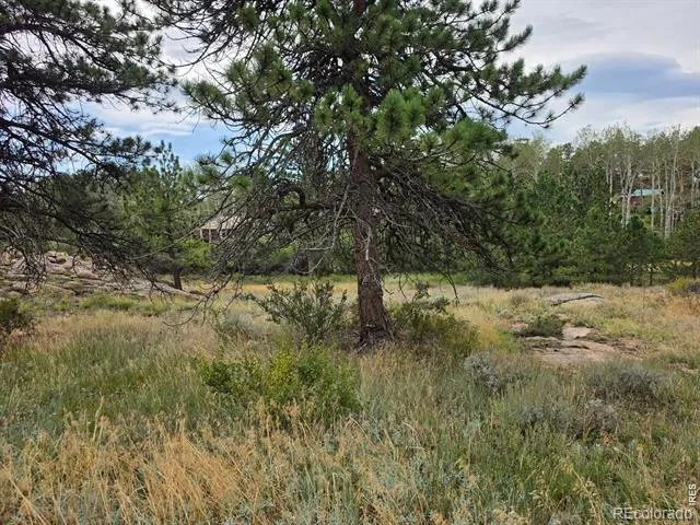 0 Lone Pine Court Red Feather Lakes, CO 80545