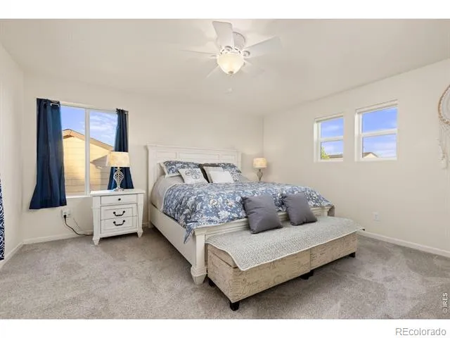 3147 Aries Drive Loveland, CO 80537