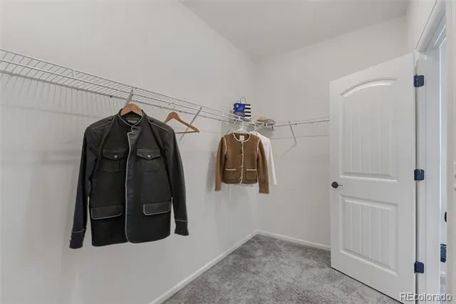 3342 Bluestem Street Dacono, CO 80514