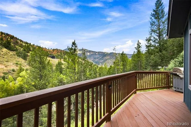 812 Soda Creek Road Idaho Springs, CO 80452