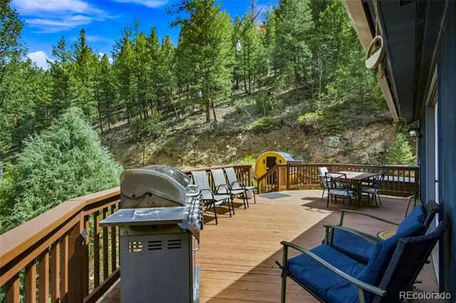 812 Soda Creek Road Idaho Springs, CO 80452