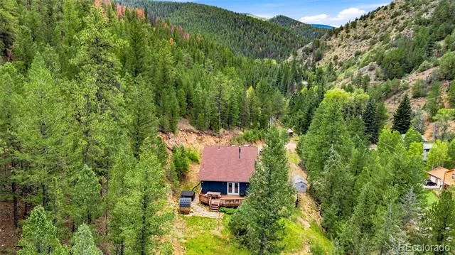 812 Soda Creek Road Idaho Springs, CO 80452