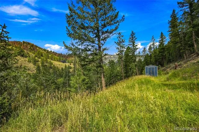 812 Soda Creek Road Idaho Springs, CO 80452