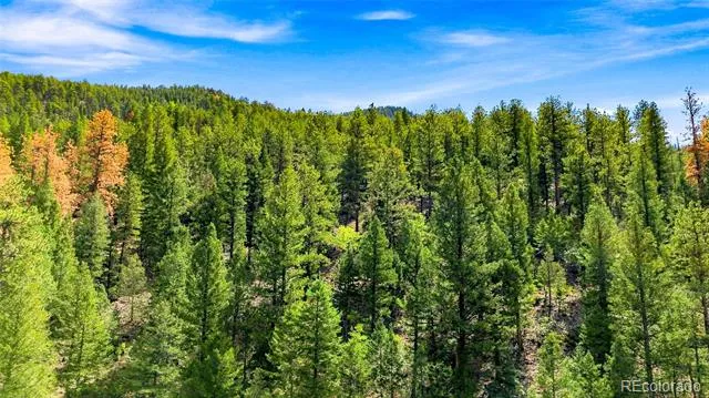 812 Soda Creek Road Idaho Springs, CO 80452