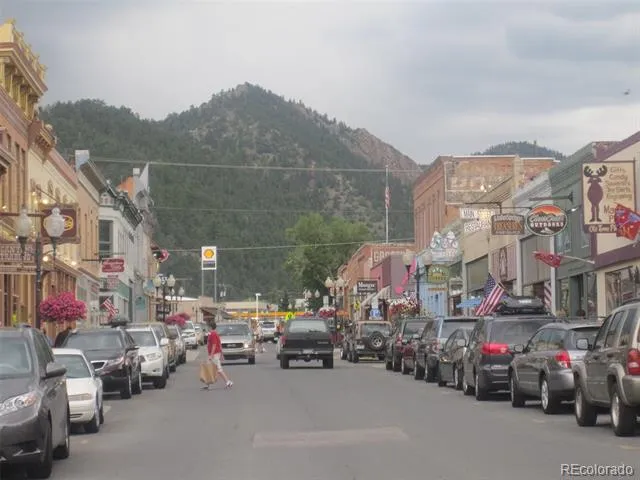 812 Soda Creek Road Idaho Springs, CO 80452