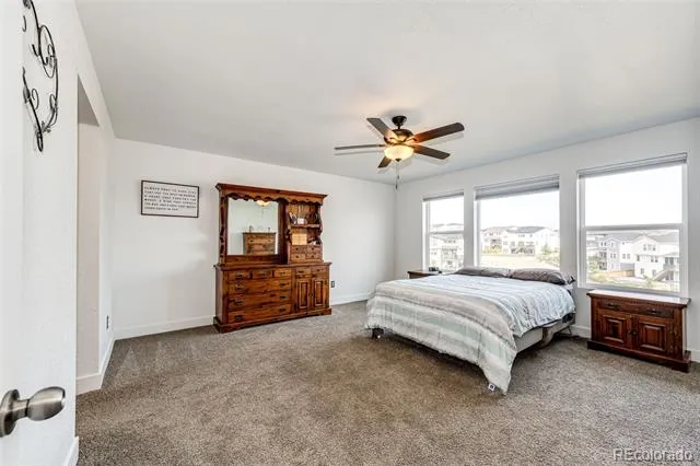 6579 Steuben Way Castle Rock, CO 80108