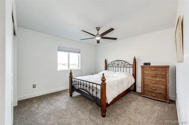 6579 Steuben Way Castle Rock, CO 80108