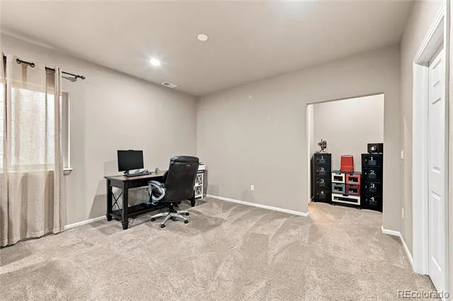 21620 E Stroll Avenue Parker, CO 80138