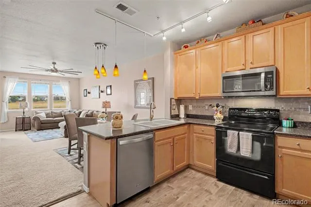 15540 Canyon Gulch Lane #208 Englewood, CO 80112