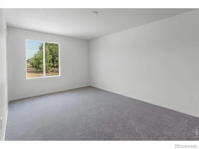 3116 Barnstormer Street Fort Collins, CO 80524