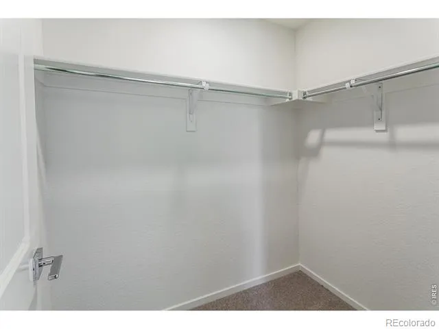 3116 Barnstormer Street Fort Collins, CO 80524