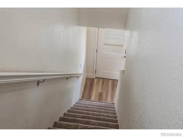 3277 Comet Street Fort Collins, CO 80524