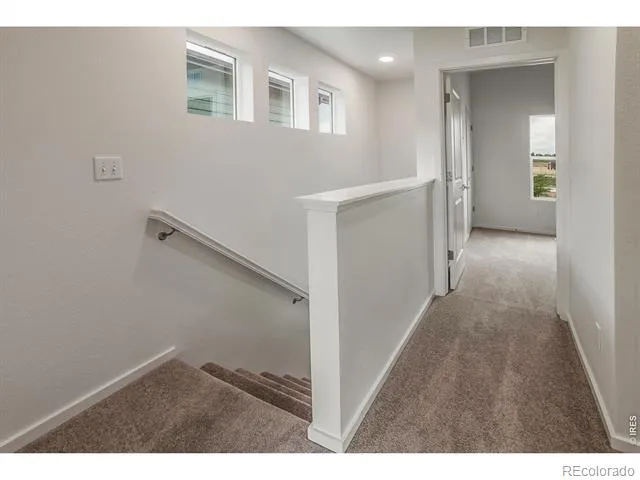 3277 Comet Street Fort Collins, CO 80524