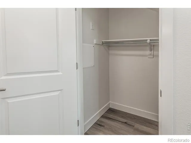 331 Flourish Lane Fort Collins, CO 80524