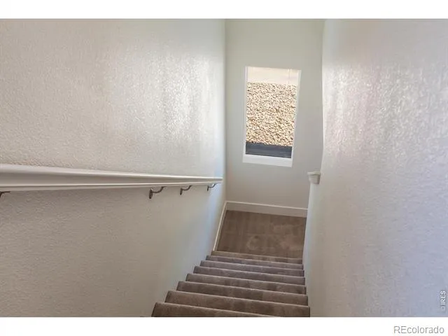 331 Flourish Lane Fort Collins, CO 80524