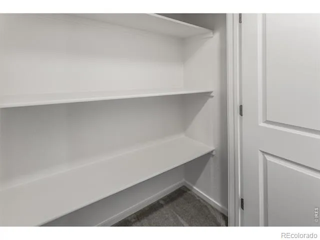 331 Flourish Lane Fort Collins, CO 80524