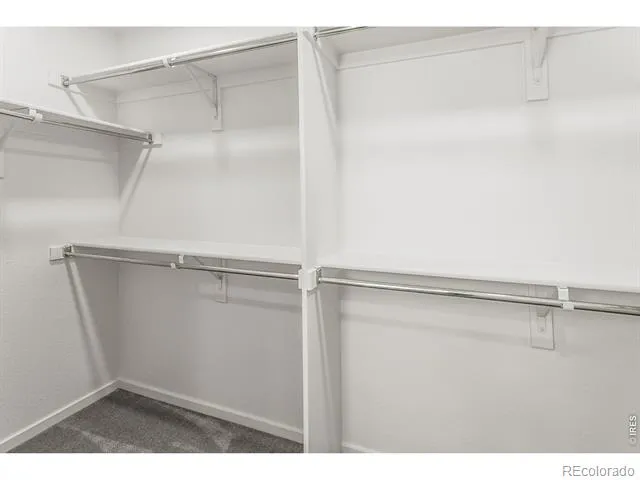 331 Flourish Lane Fort Collins, CO 80524