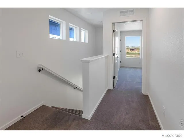 3289 Comet Street Fort Collins, CO 80524