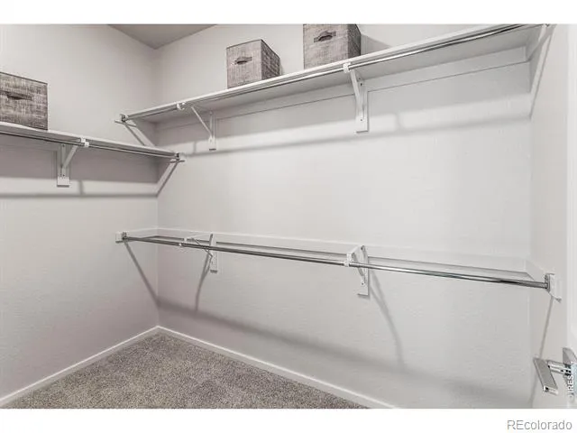 1811 Bounty Drive #1 Windsor, CO 80550