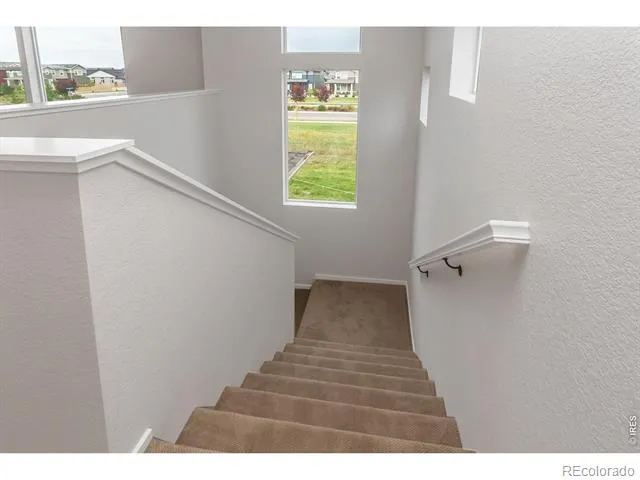 6117 Saddle Horn Drive Timnath, CO 80547