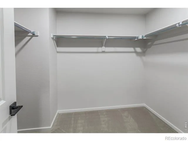 6117 Saddle Horn Drive Timnath, CO 80547