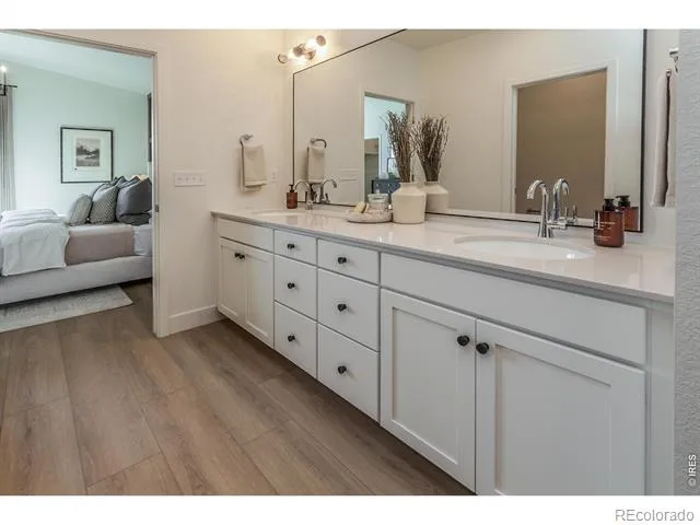 913 Trumpet Lane Windsor, CO 80550