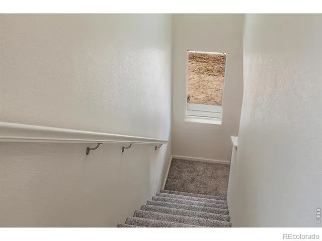 947 Trumpet Lane Windsor, CO 80550