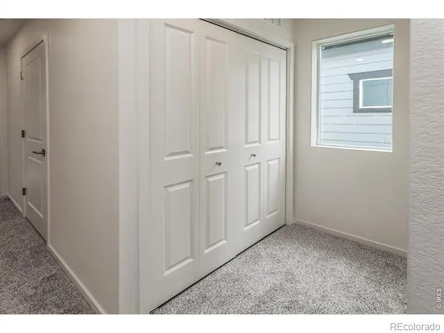 947 Trumpet Lane Windsor, CO 80550