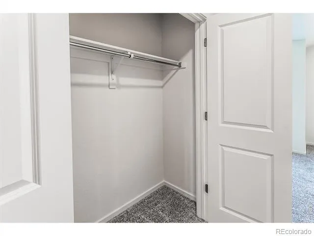 947 Trumpet Lane Windsor, CO 80550