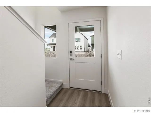 947 Trumpet Lane Windsor, CO 80550