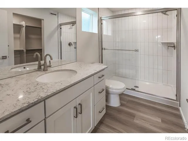 947 Trumpet Lane Windsor, CO 80550
