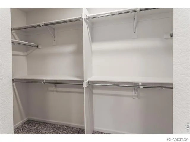 947 Trumpet Lane Windsor, CO 80550