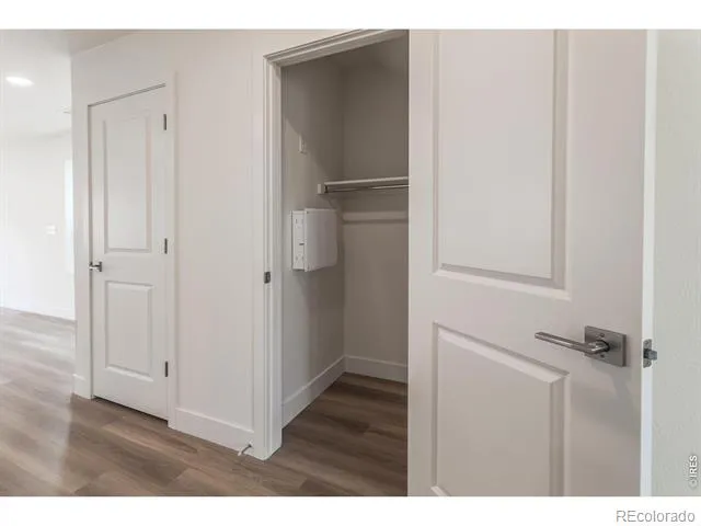 947 Trumpet Lane Windsor, CO 80550
