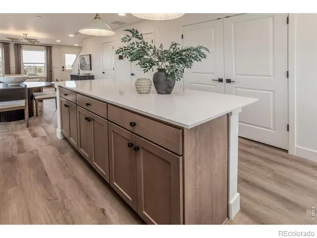 937 Trumpet Lane Windsor, CO 80550