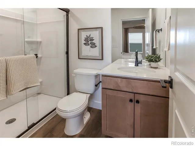 937 Trumpet Lane Windsor, CO 80550