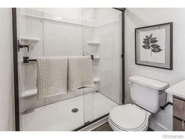 937 Trumpet Lane Windsor, CO 80550