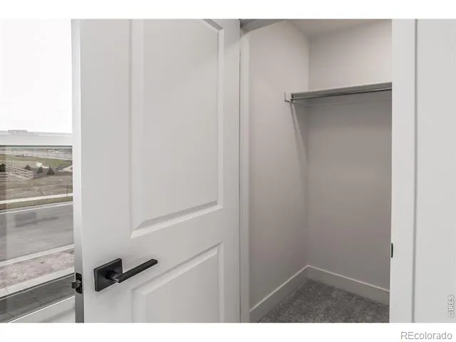 937 Trumpet Lane Windsor, CO 80550