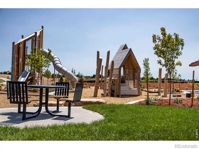937 Trumpet Lane Windsor, CO 80550