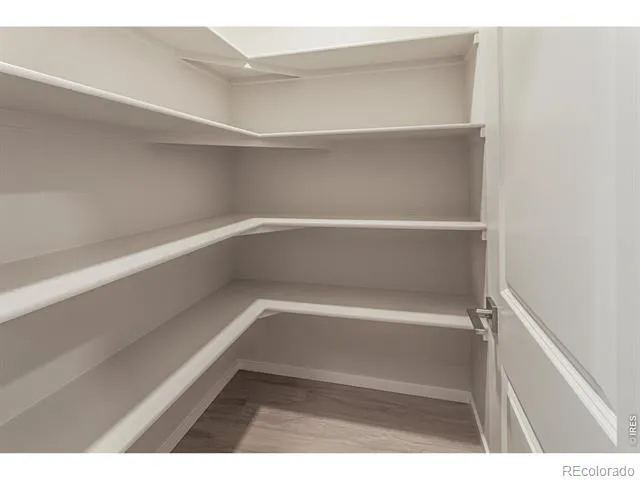 754 Trumpet Court Windsor, CO 80550