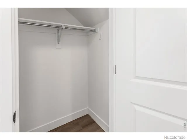 981 Trumpet Lane Windsor, CO 80550