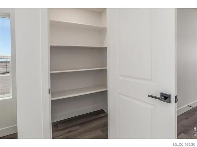 981 Trumpet Lane Windsor, CO 80550