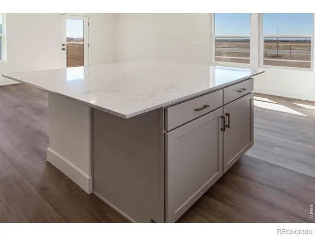 981 Trumpet Lane Windsor, CO 80550
