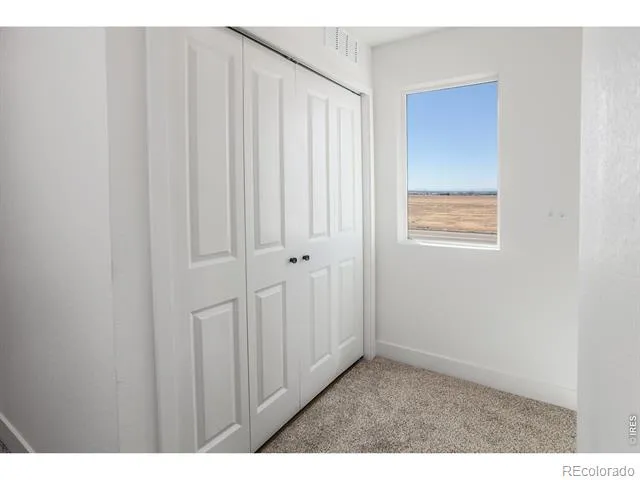 981 Trumpet Lane Windsor, CO 80550