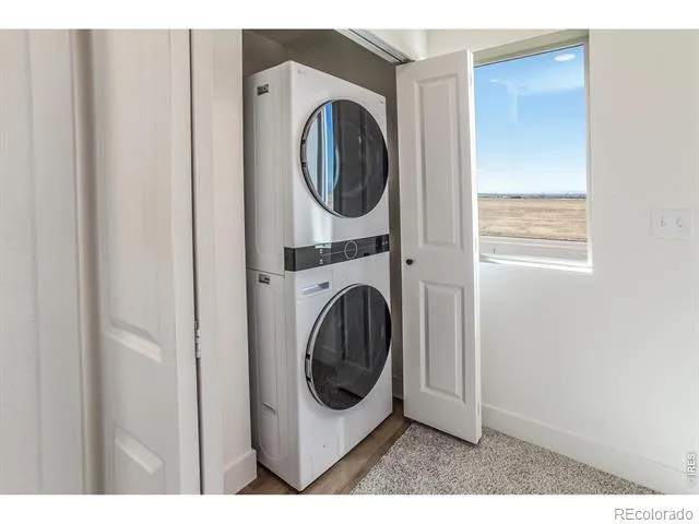 981 Trumpet Lane Windsor, CO 80550