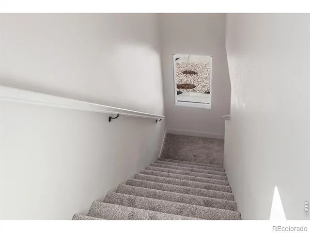 981 Trumpet Lane Windsor, CO 80550