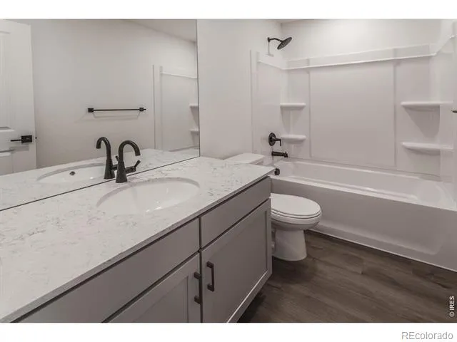 981 Trumpet Lane Windsor, CO 80550